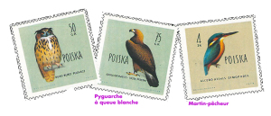 Oiseaux