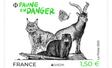 EUROPA-FAUNE-EN-DANGER